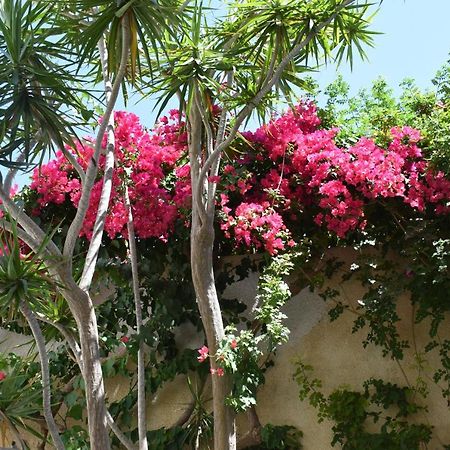 Eleonora Apartment No2 Sitia  Exterior photo