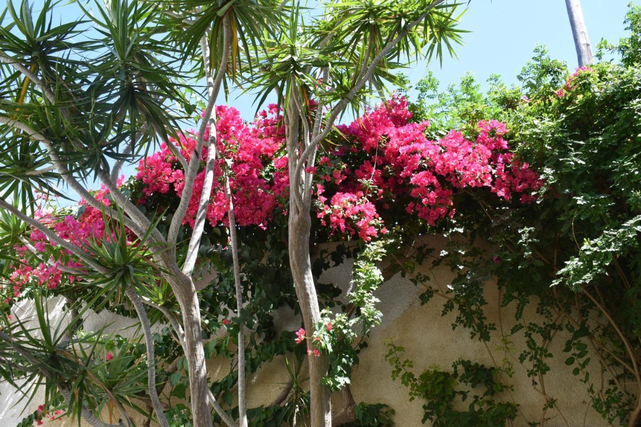 Eleonora Apartment No2 Sitia  Exterior photo